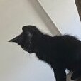 hey